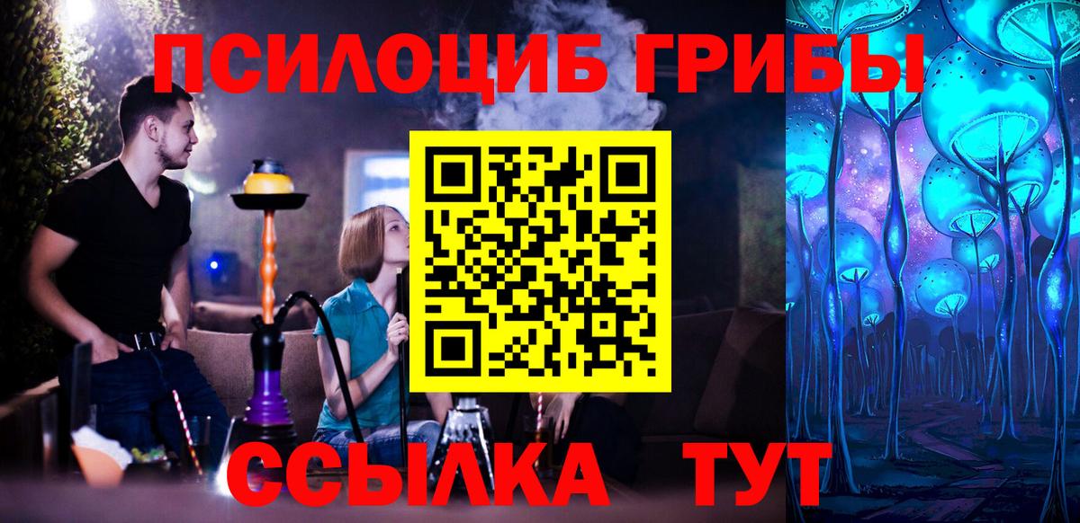 Череповец  Псилоцибиновые грибы Magic Shrooms  Вход с VPN 