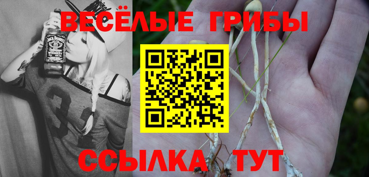 Псилоцибиновые грибы мухоморы Череповец